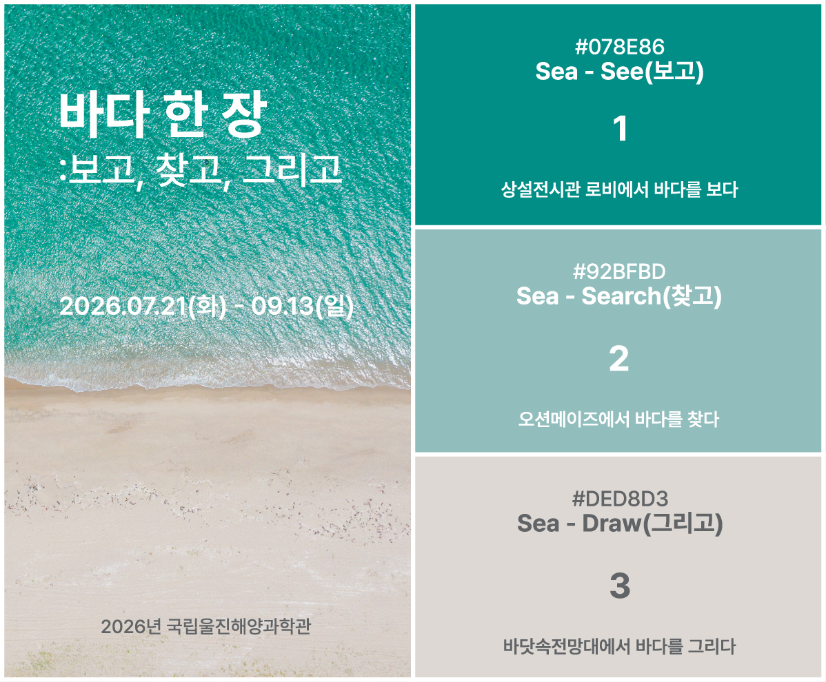바다 한 장:보고, 찾고, 그리고