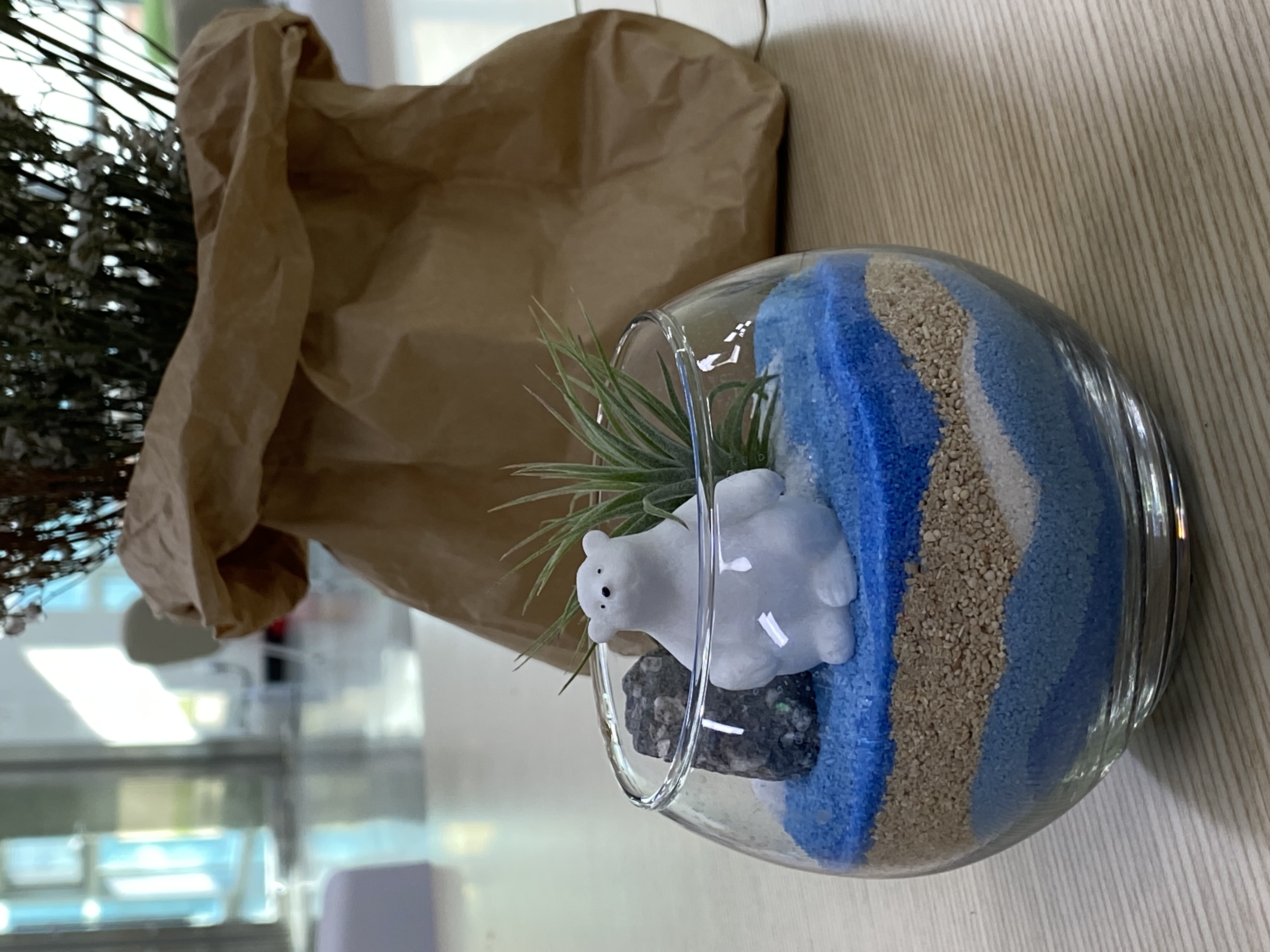 어항 속 바위, 북극곰, 식물